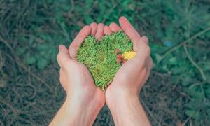 Eine Zeitreise auf zwei Rädern … Blog Umweltschutz 300x180 - Eine Zeitreise auf zwei Rädern …