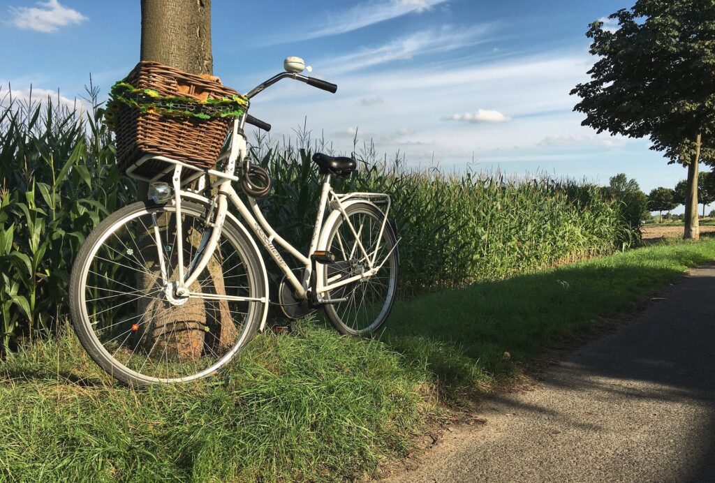 hollandrad 1872662 1920 1024x692 - Damenfahrrad Beratung - Was gibt es zu beachten?